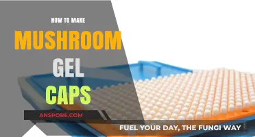 DIY Mushroom Gel Caps: Simple Steps for Homemade Supplements