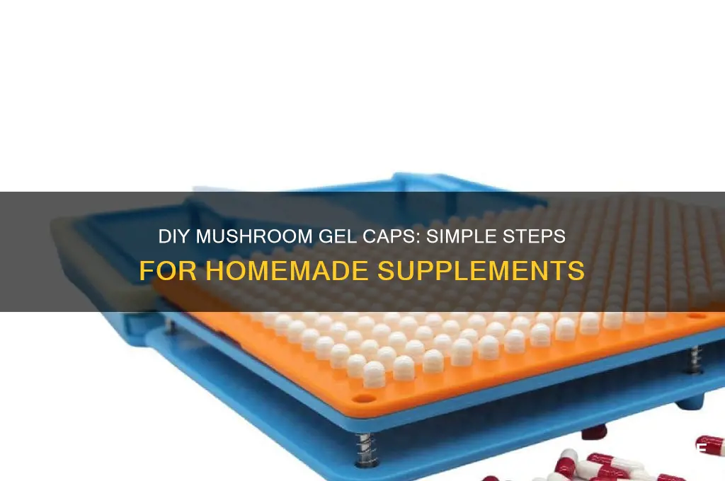how to make mushroom gel caps
