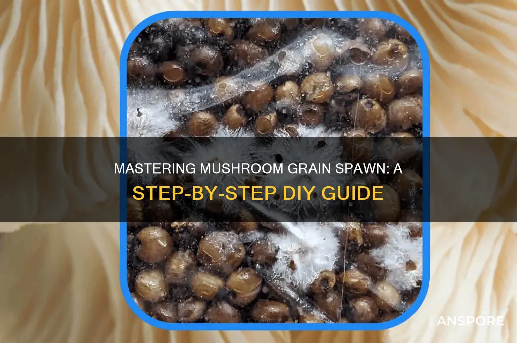 how to make mushroom grain spawn