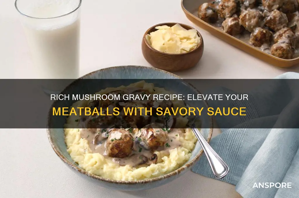how to make mushroom gravy for meatballs