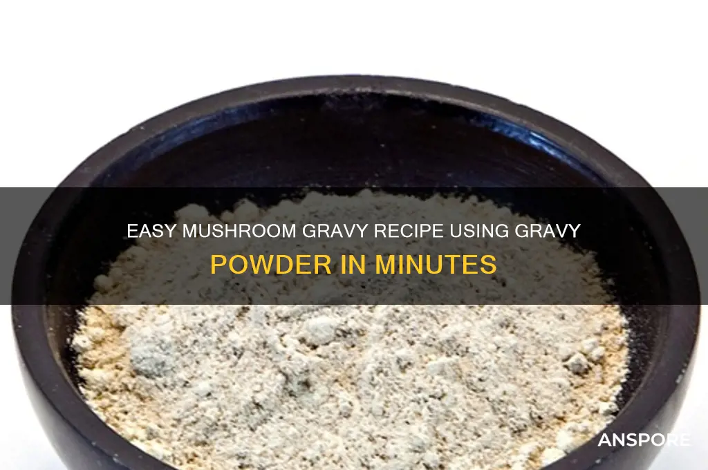 how to make mushroom gravy with gravy powder