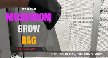 DIY Mushroom Grow Bag: Simple Steps for Successful Cultivation