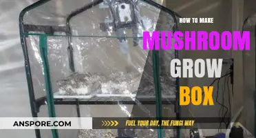 DIY Mushroom Grow Box: Simple Steps for Abundant Harvests
