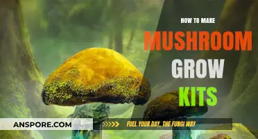 Craft Your Own Mushroom Grow Kits: A Simple DIY Guide
