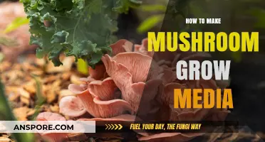 Mastering Mushroom Cultivation: Crafting the Perfect Grow Media