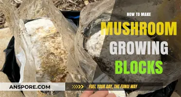 Mastering Mushroom Cultivation: Crafting Effective Growing Blocks at Home