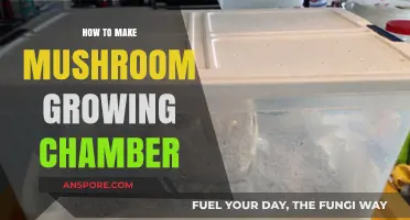 DIY Mushroom Growing Chamber: A Step-by-Step Guide to Success