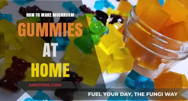 Crafting Homemade Mushroom Gummies: A Simple DIY Recipe Guide