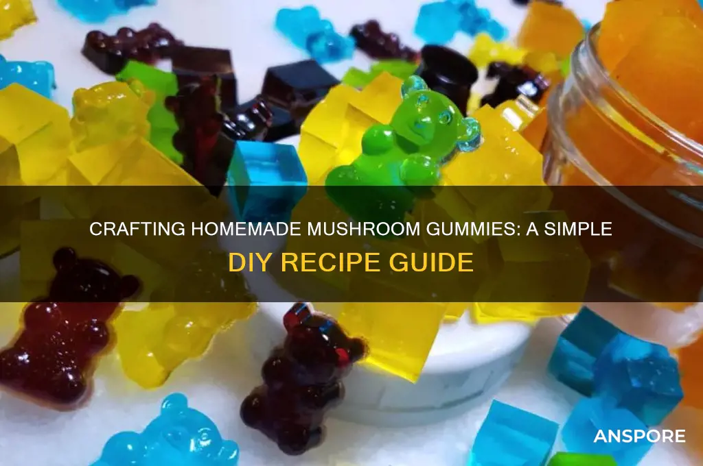 how to make mushroom gummies at home