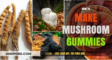 Crafting Tasty Mushroom Gummies: A Simple DIY Recipe Guide