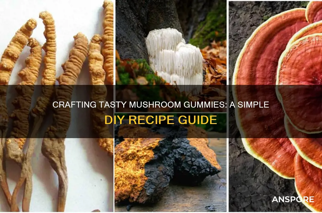 how to make mushroom gummies