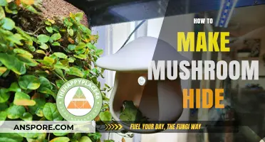 Crafting a Mushroom Hide: Simple DIY Techniques for Garden Enthusiasts