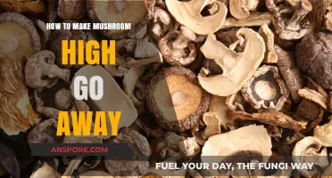 Quick Tips to Safely Ease Unwanted Mushroom High Effects