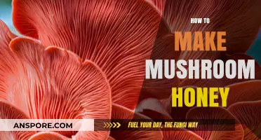 Crafting Mushroom Honey: A Simple Guide to Infused Sweetness