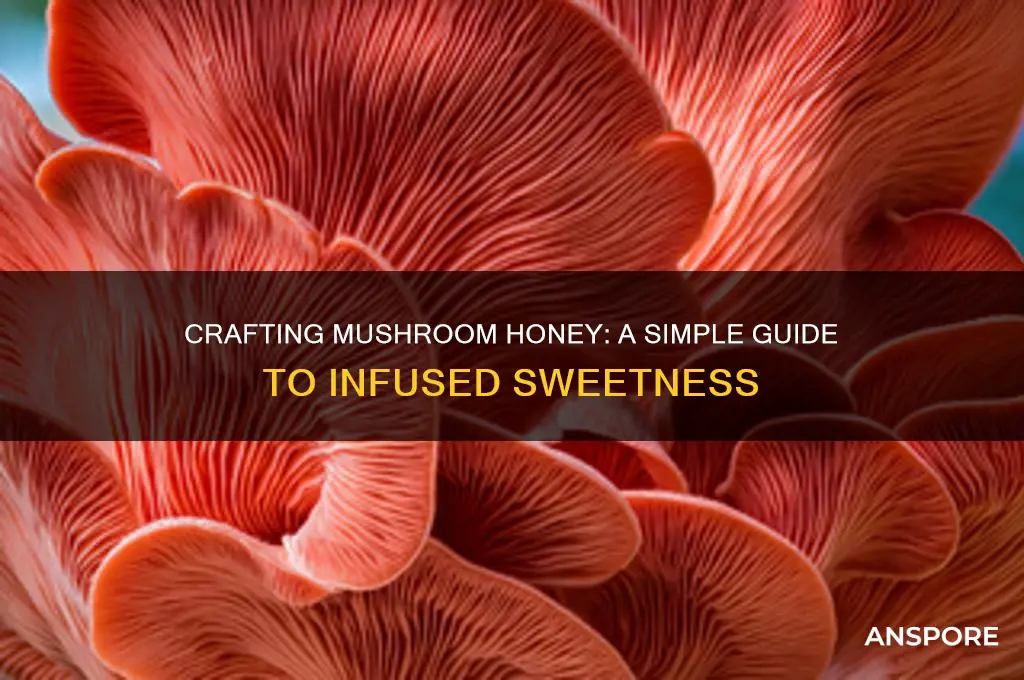how to make mushroom honey