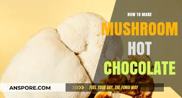Warm Up with Earthy Bliss: Mushroom Hot Chocolate Recipe Guide