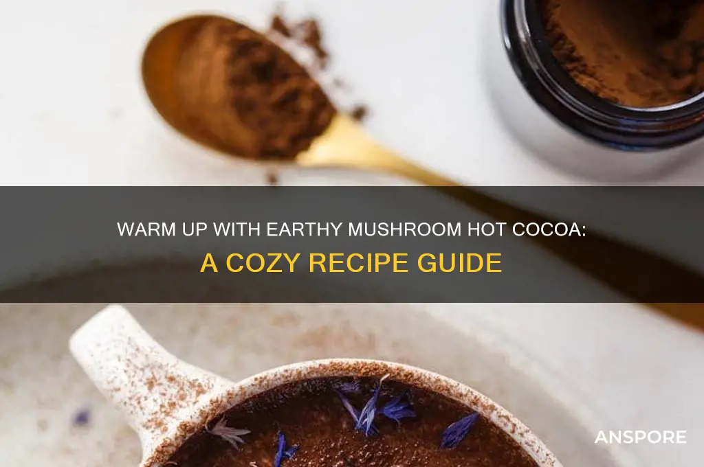 how to make mushroom hot cocoa