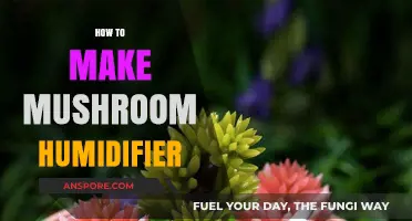 DIY Mushroom Humidifier: Simple Steps for Fresh Air and Fungi