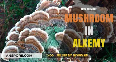 Mastering Mushroom Creation in Alchemy: A Step-by-Step Guide
