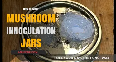 Mastering Mushroom Inoculation: DIY Jars for Successful Fungal Cultivation