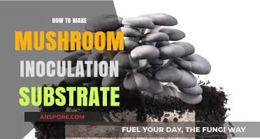 Mastering Mushroom Inoculation: Crafting the Perfect Substrate at Home