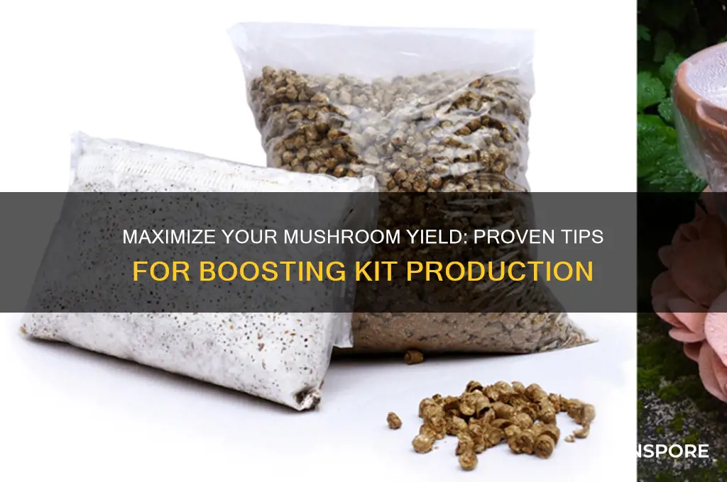 how to make mushroom kits produce more
