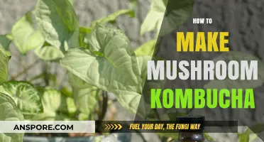 Brewing Mushroom Kombucha: A Step-by-Step Fermentation Guide