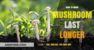 Extend Mushroom Freshness: Smart Storage Tips for Longer Shelf Life