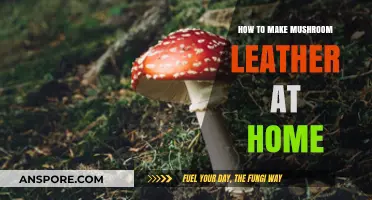 Crafting Eco-Friendly Mushroom Leather: A Simple DIY Home Guide