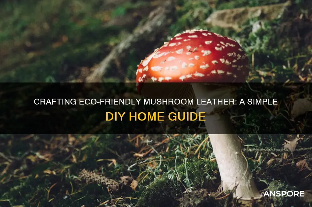 how to make mushroom leather at home