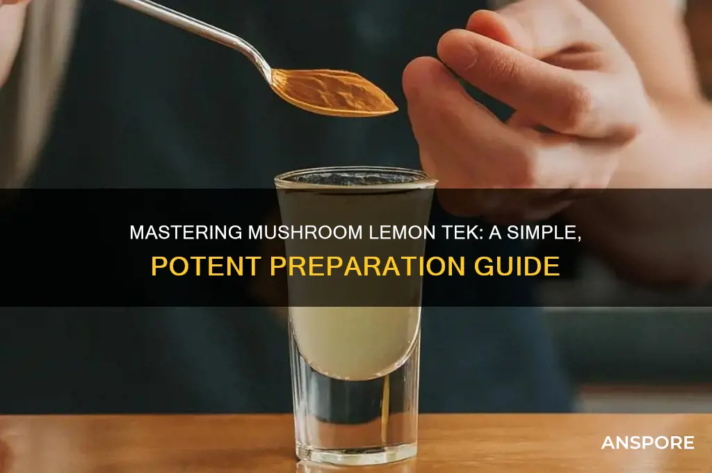 how to make mushroom lemon tek