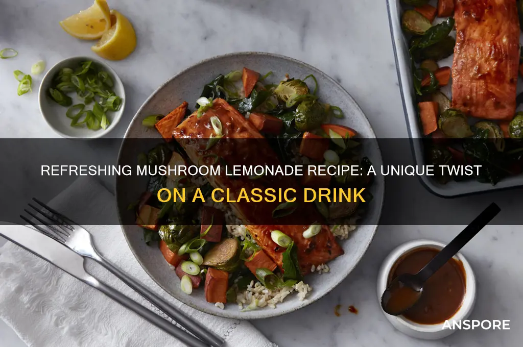 how to make mushroom lemonade