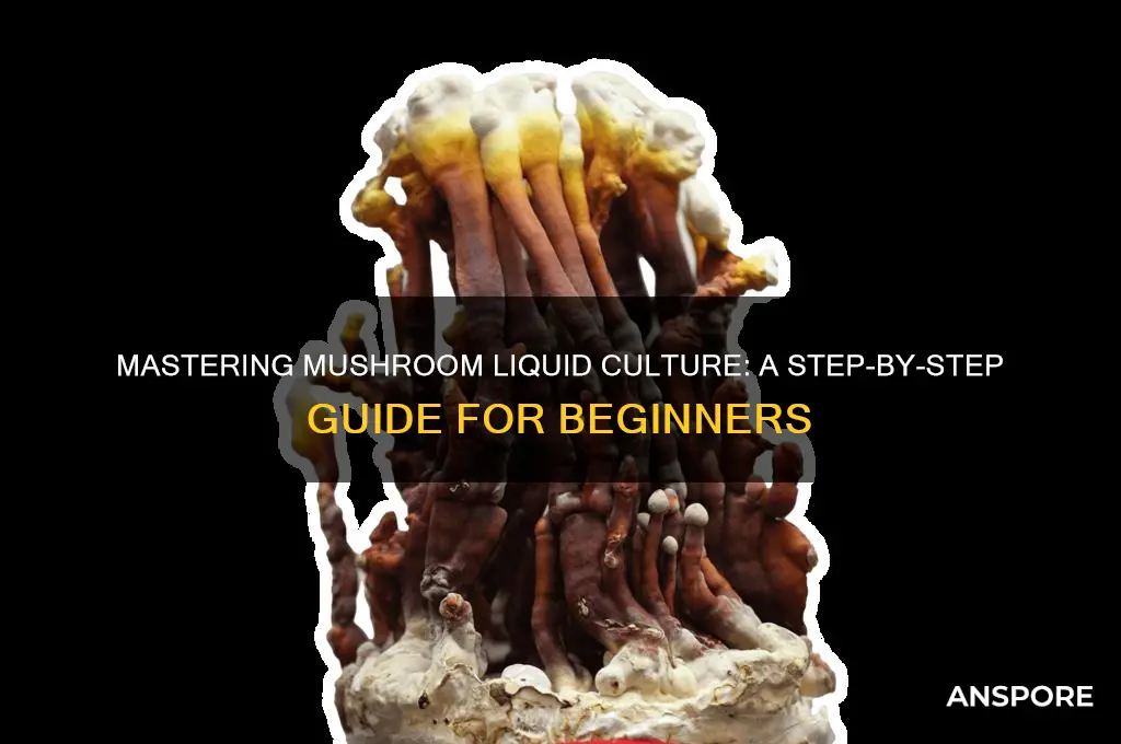 how to make mushroom liquid culture