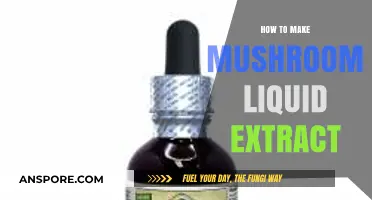Mastering Mushroom Liquid Extract: A Simple DIY Guide for Beginners