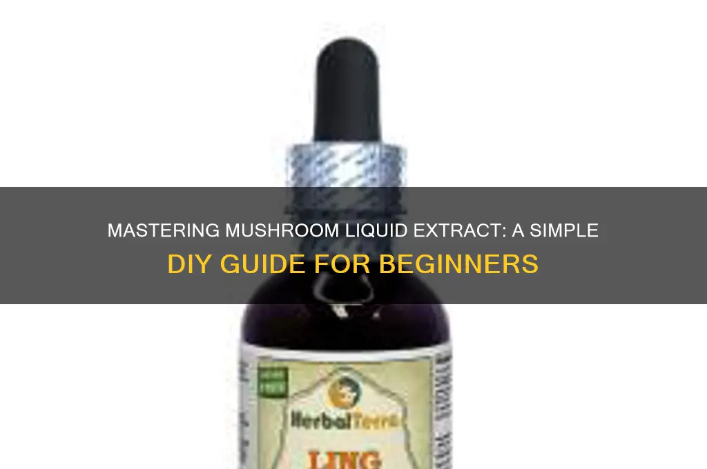 how to make mushroom liquid extract