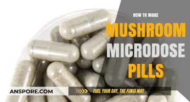 Crafting Mushroom Microdose Pills: A Step-by-Step DIY Guide