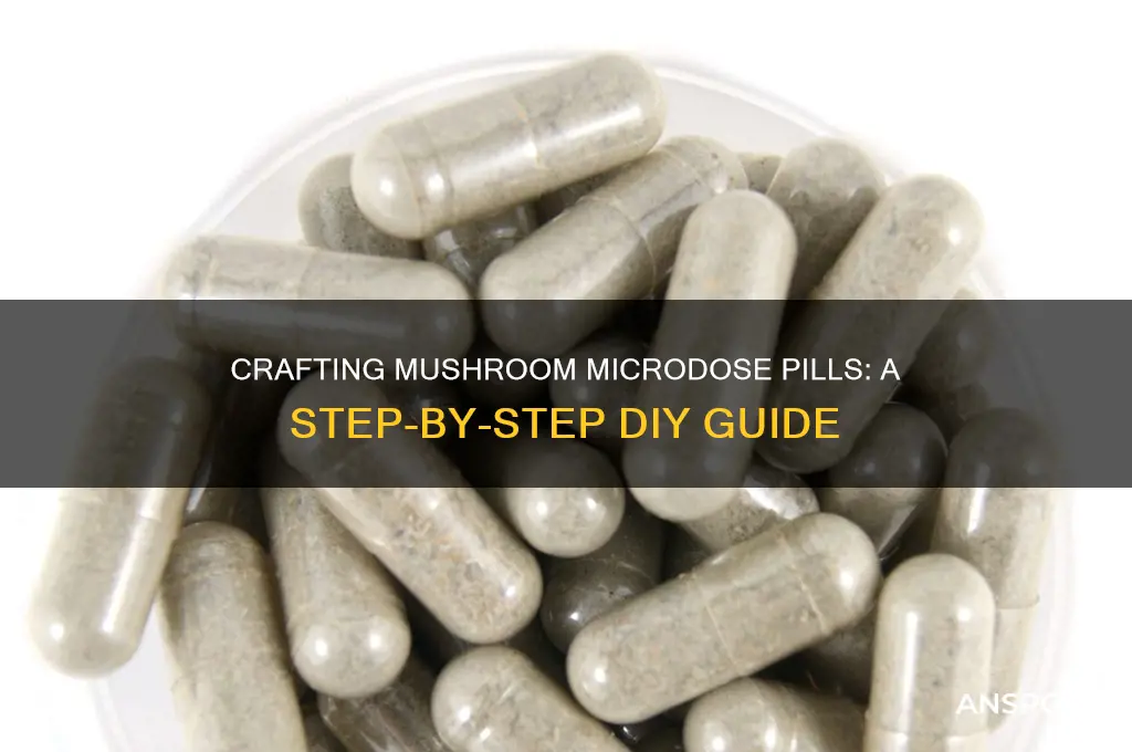 how to make mushroom microdose pills