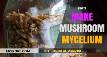 Mastering Mushroom Mycelium: A Step-by-Step Cultivation Guide