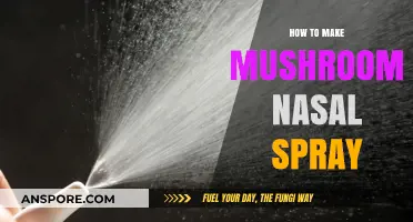 DIY Mushroom Nasal Spray: Simple Steps for Natural Sinus Relief