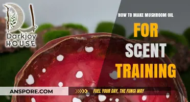 Crafting Mushroom Oil: A Guide to Scent Training Aromas