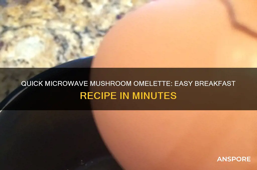 how to make mushroom omelette in microwave