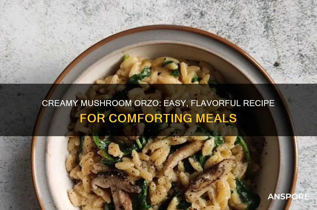 how to make mushroom orzo