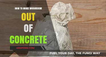 Crafting Concrete Mushrooms: A Step-by-Step DIY Guide