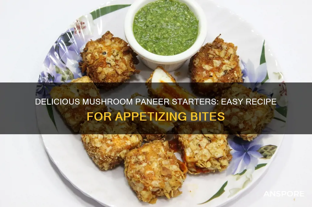 how to make mushroom paneer starters