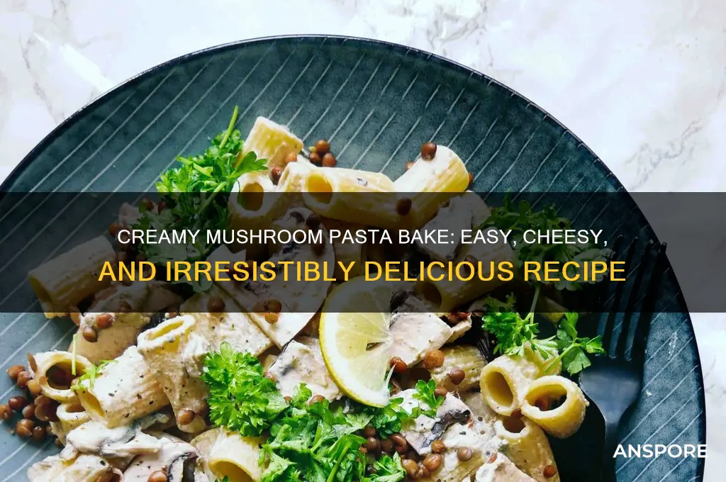 how to make mushroom pasta bake
