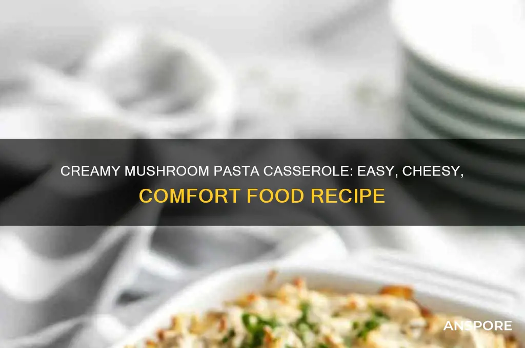 how to make mushroom pasta casserole