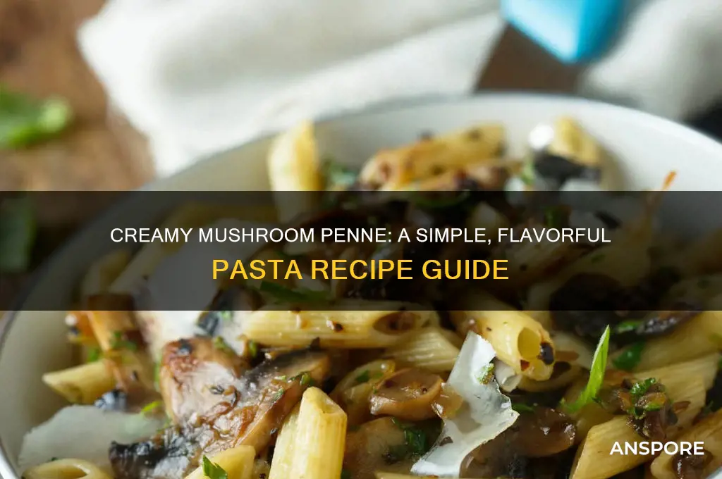 how to make mushroom pasta penne