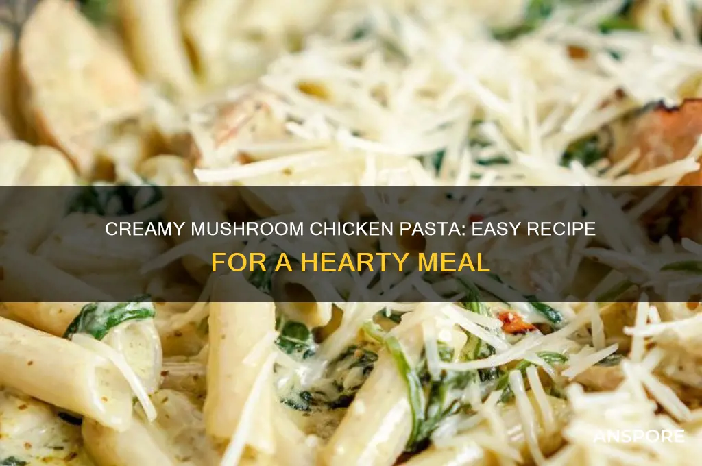 how to make mushroom pasta with chicken