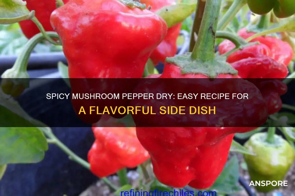 how to make mushroom pepper dry