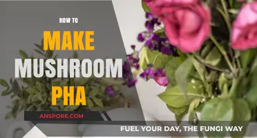 Crafting Mushroom PHA: A Sustainable Bioplastic DIY Guide